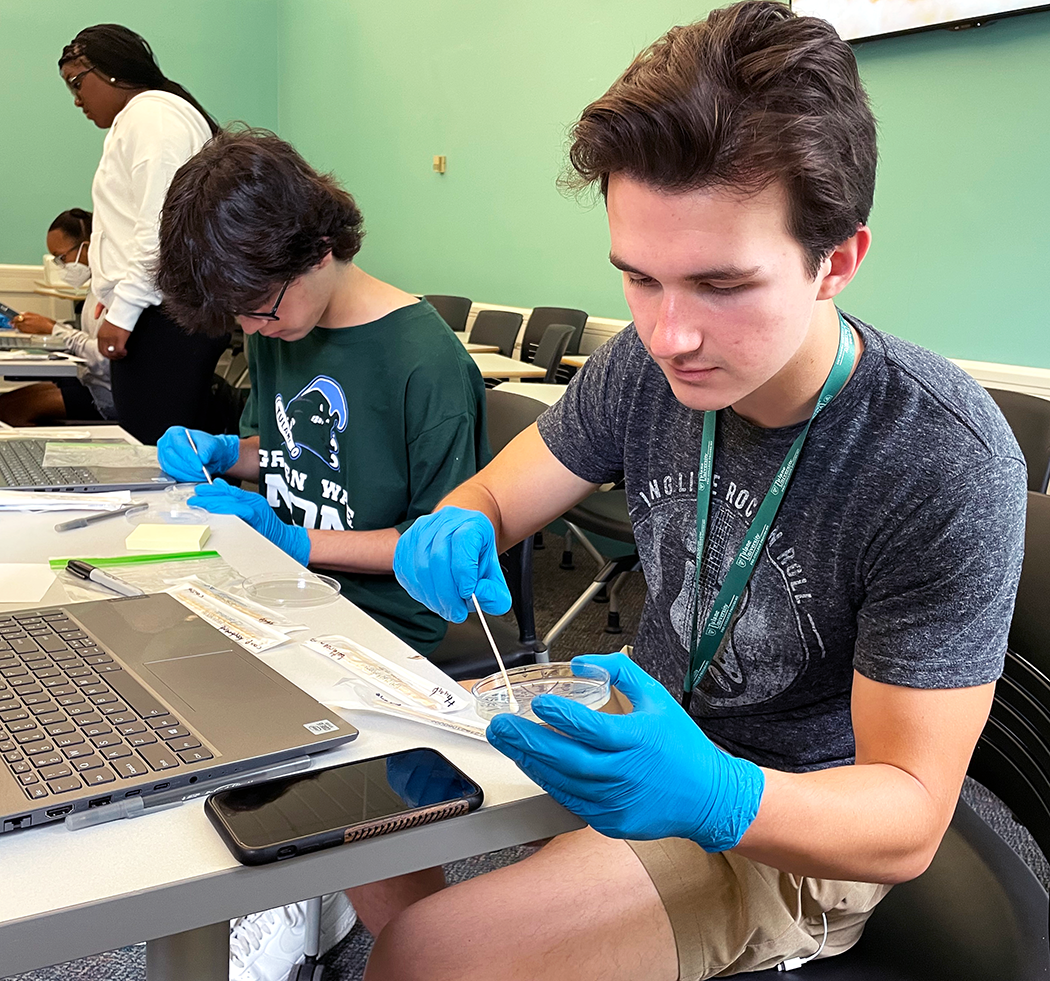 Students work on cultures in their Infectious Disease course.