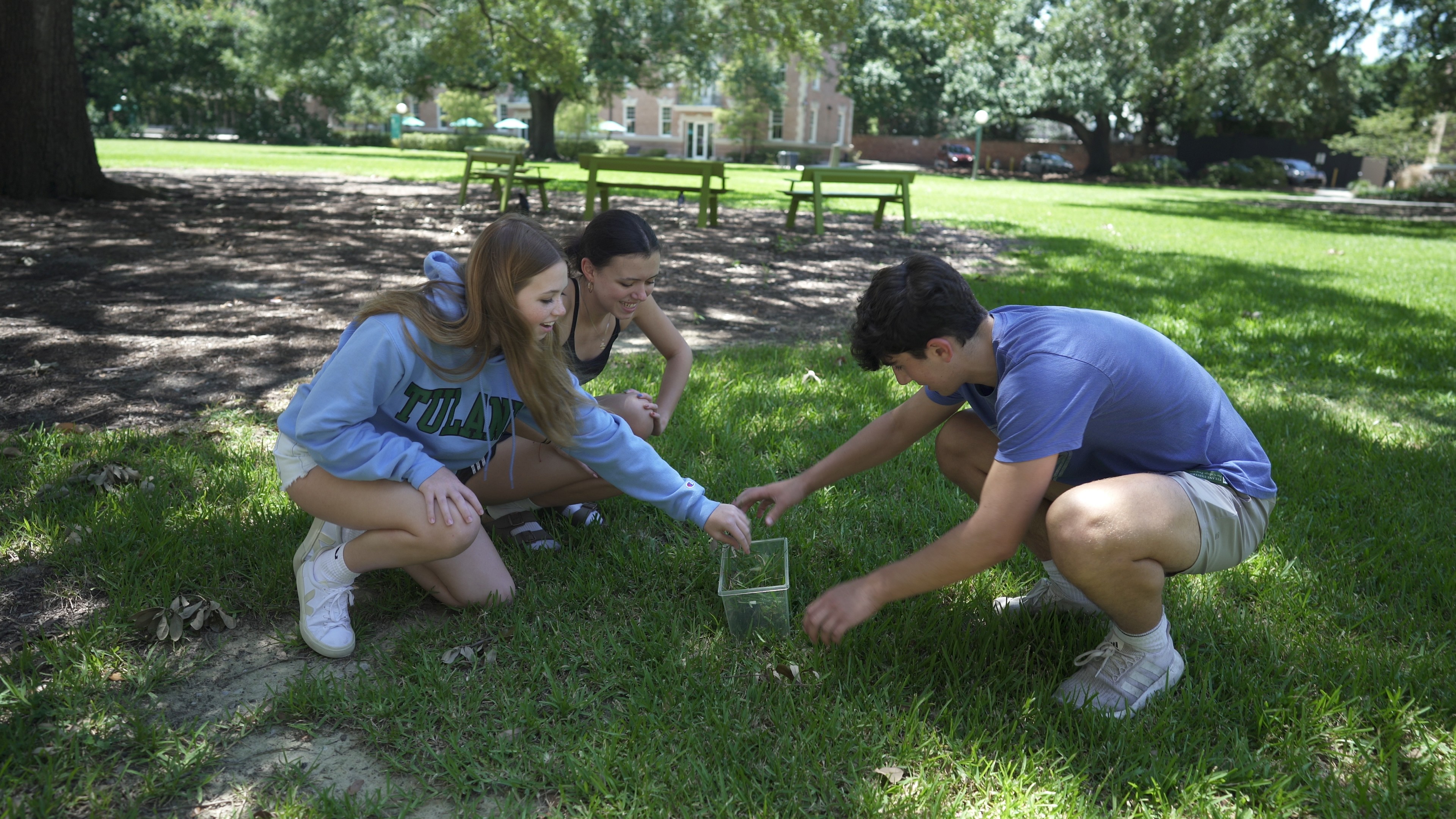 Three young people crouch in the grass, looking into a clear container.
