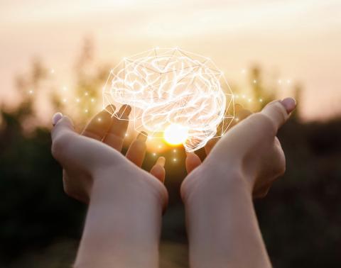 Hands holding a glowing, abstract brain graphic against a sunset.