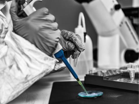 Researcher in lab coat and gloves uses pipette to add liquid to petri dish.