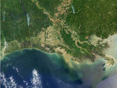 Satellite view of Louisiana coast.