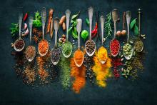 botanical-influences-global-foods-culture